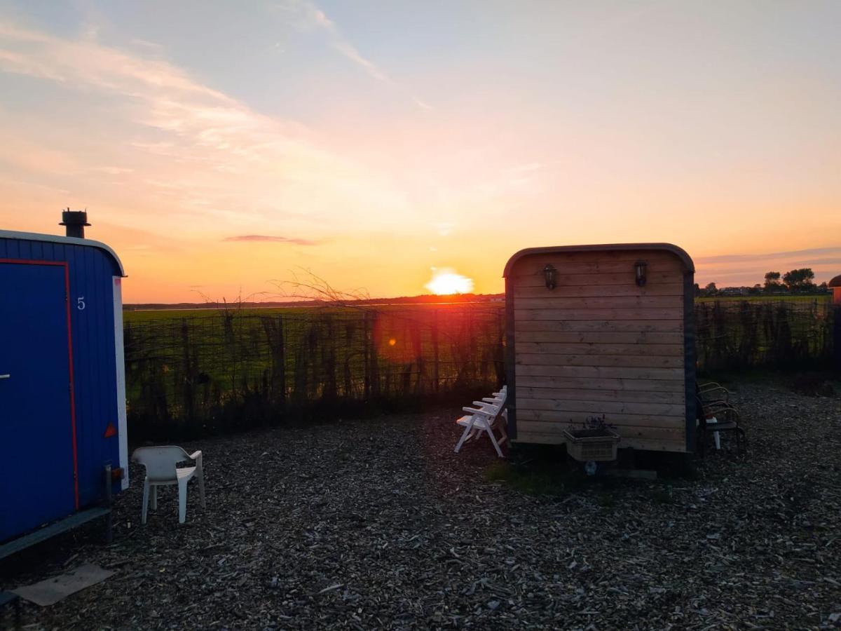 B&B Boerderij Rust, In Pipowagens! Ден-Гелдер Екстер'єр фото